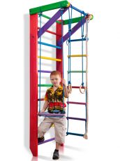 Дитячий спортивний куточок SportBaby Barby 2-220